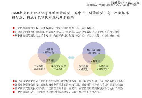 CRSM模型與LWC咨詢服務模式在網(wǎng)絡技術服務中的創(chuàng)新應用