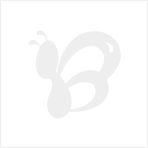 彩繪達人DIY數字油畫 江南水鄉系列5000款新品代理，廠家直供代發貨全攻略